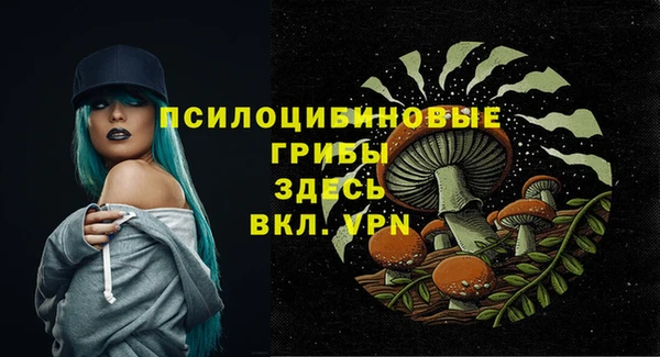 мескалин Арсеньев